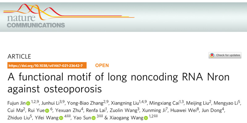 基于lncRNA实现骨质疏松的精准靶向基因治疗