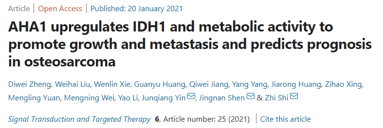石智课题组在《Signal Transduction and Targeted Therapy》发表骨肉瘤生长和转移的新机制