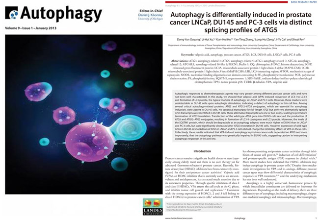 世界杯体育官方网站何贤辉和欧阳东云研究小组在《Autophagy》发表最新研究成果